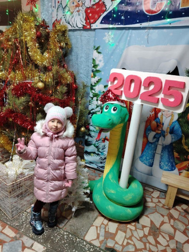 Новогодние каникулы Новогодние каникулы.